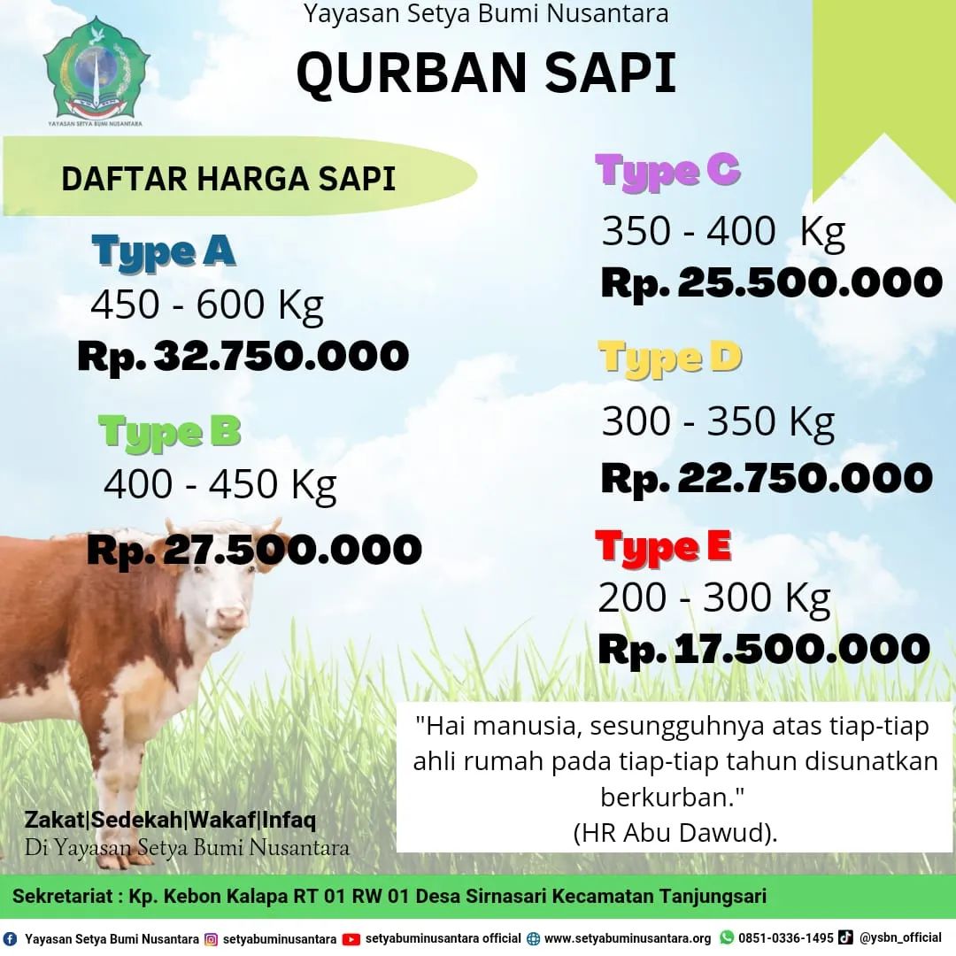 Qurban Sapi