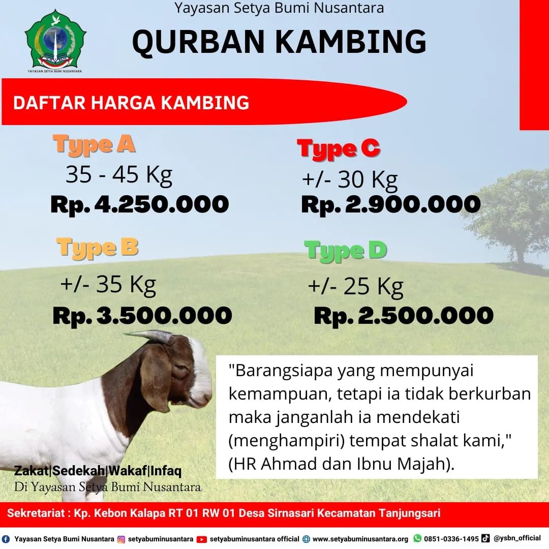 Qurban Kambing