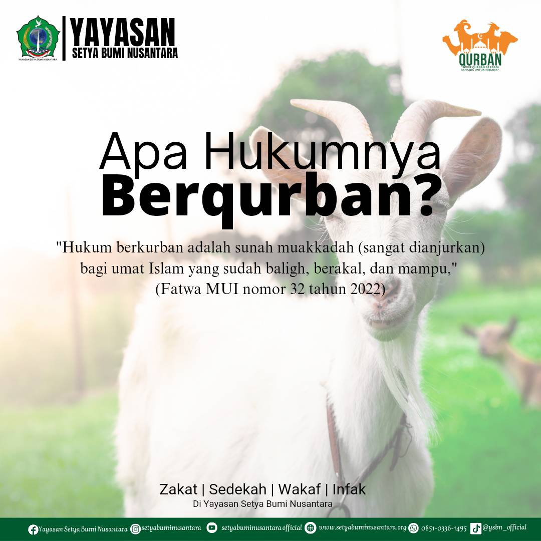 Apa Hukumnya Berqurban?
