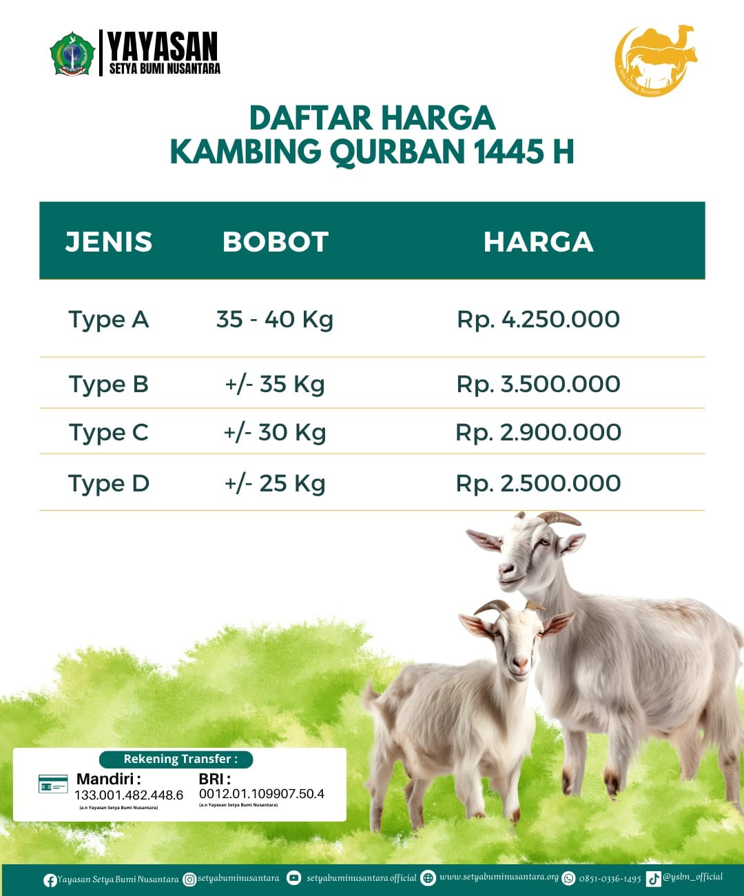 Daftar Harga Kambing Qurban 1445 H