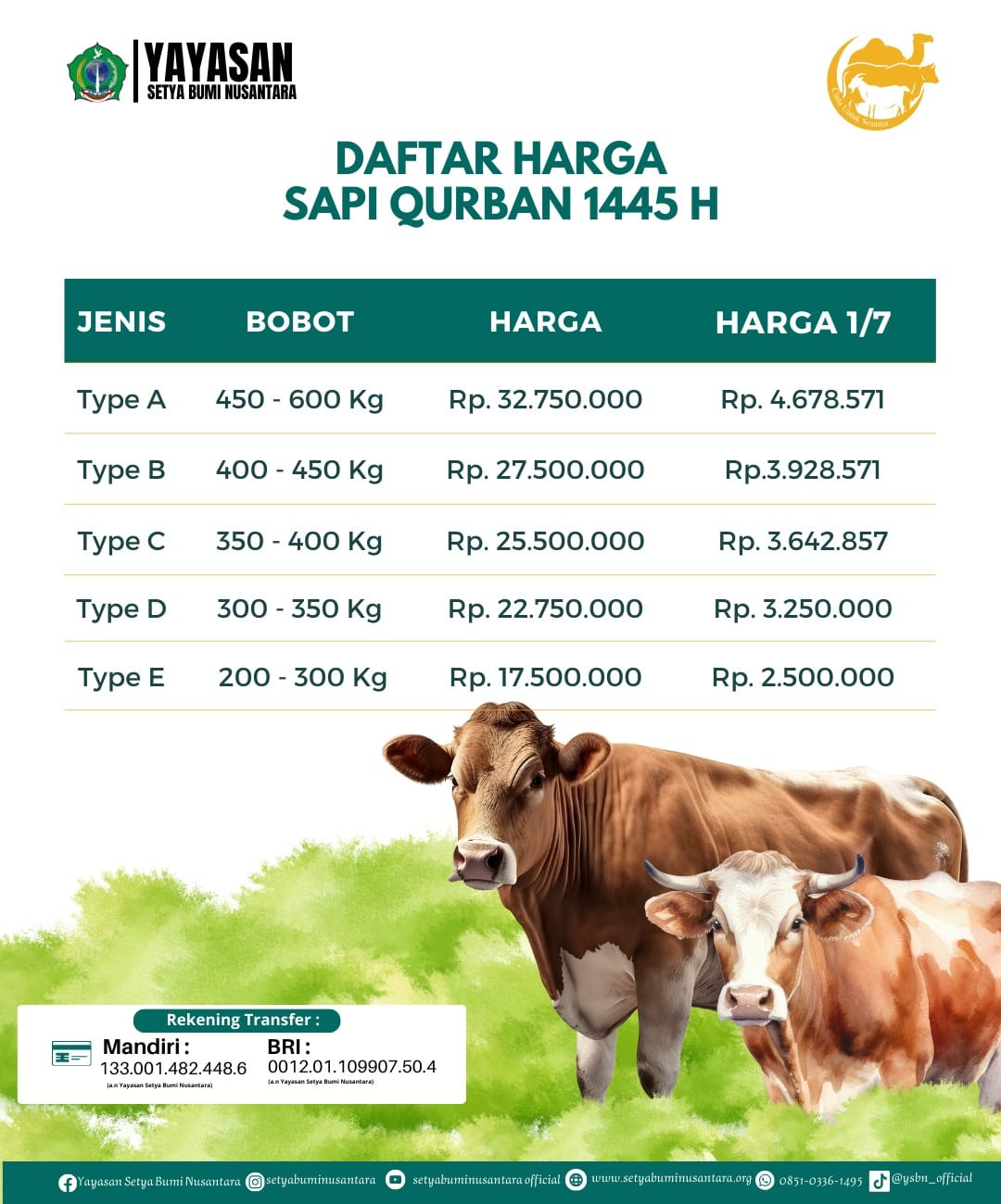 Daftar Harga Sapi Qurban 1445 H