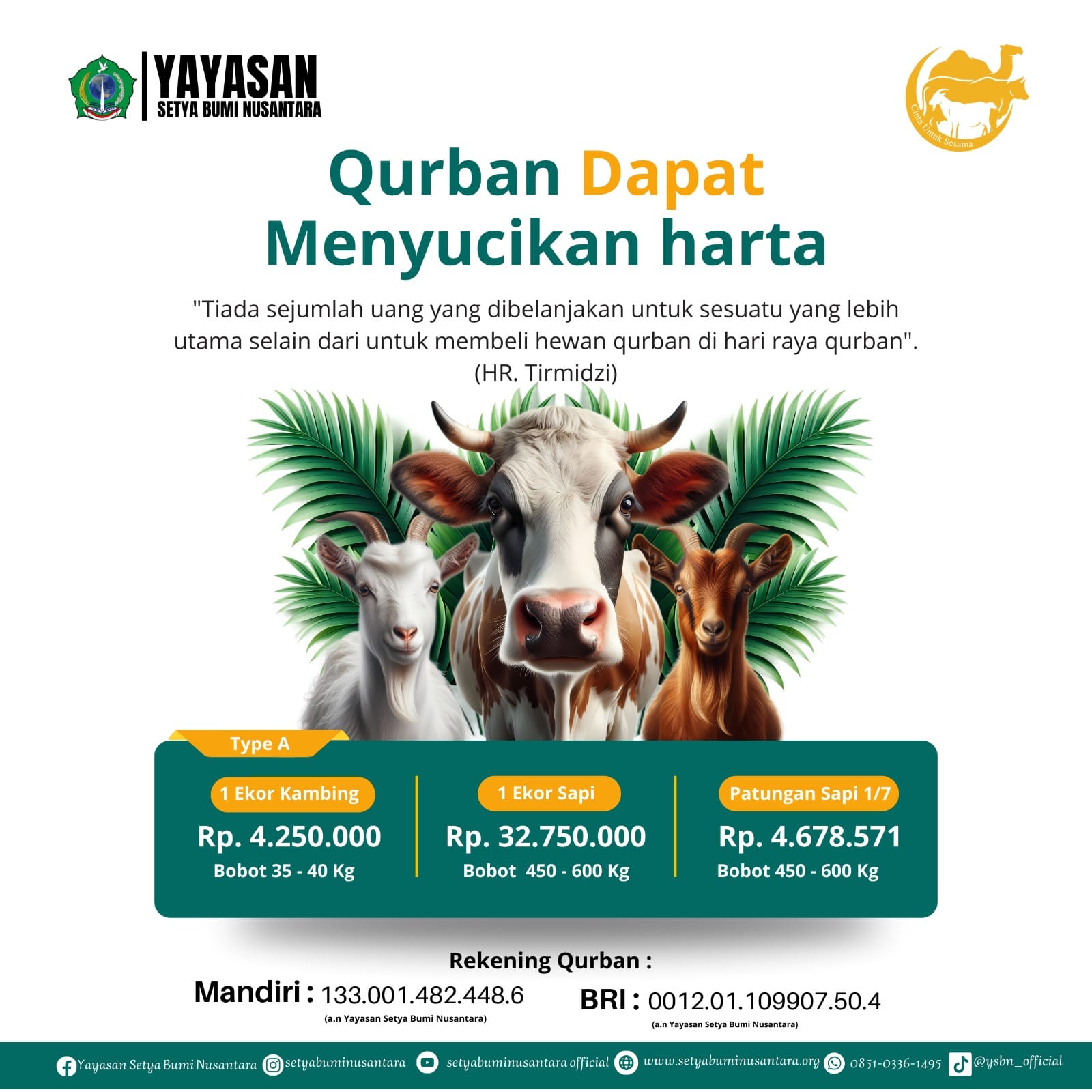 Qurban Dapat Menyucikan Harta