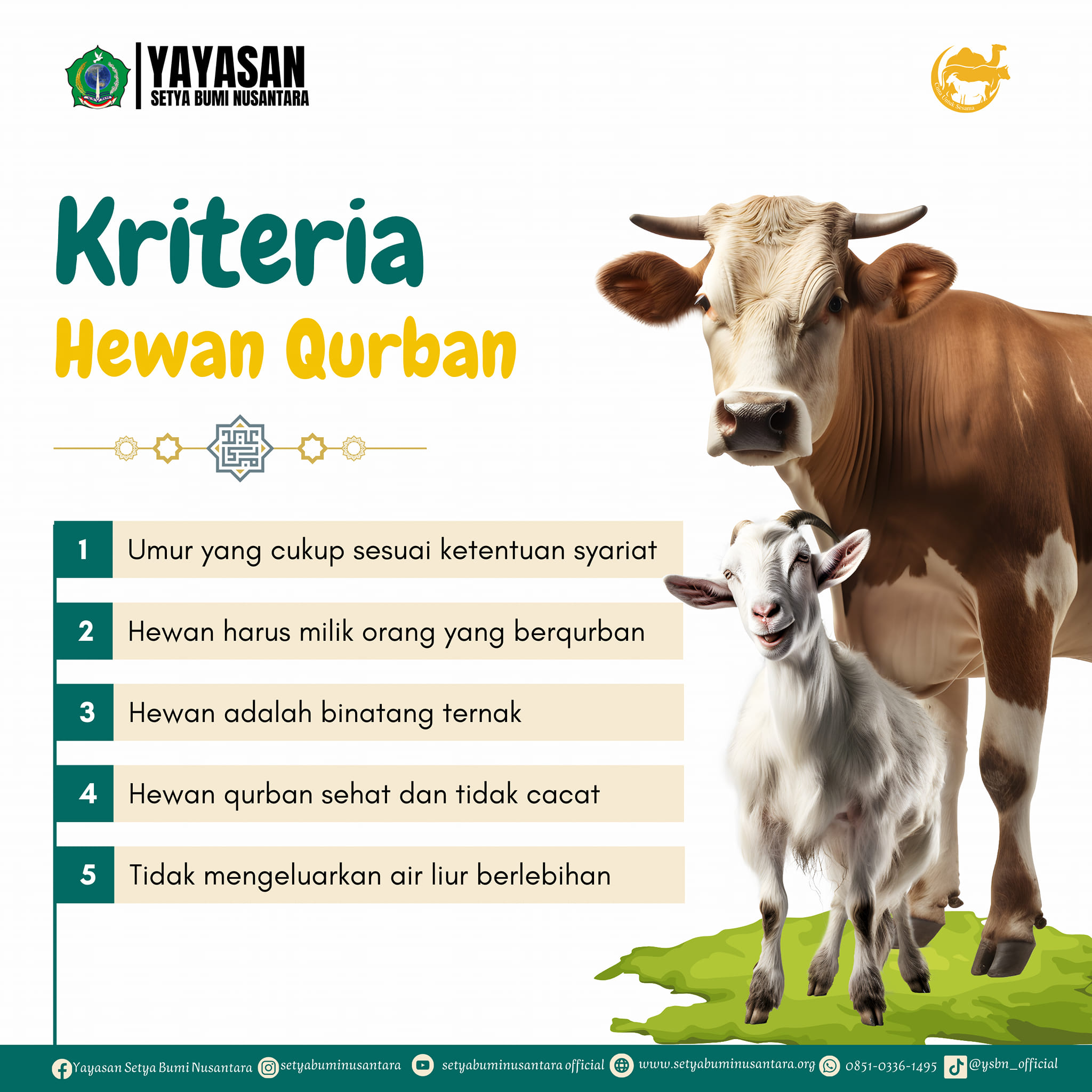 Kriteria Hewan Qurban