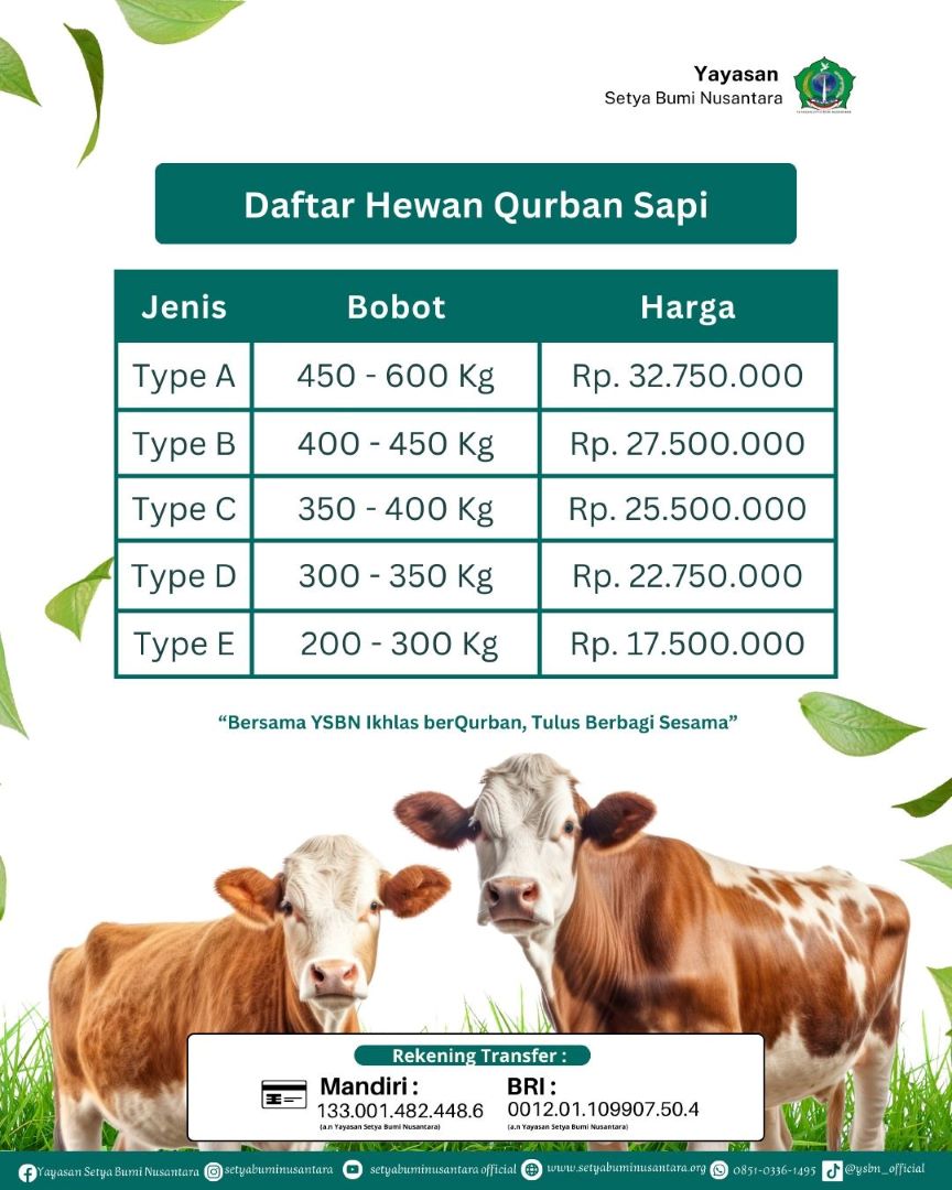Daftar Hewan Qurban Sapi